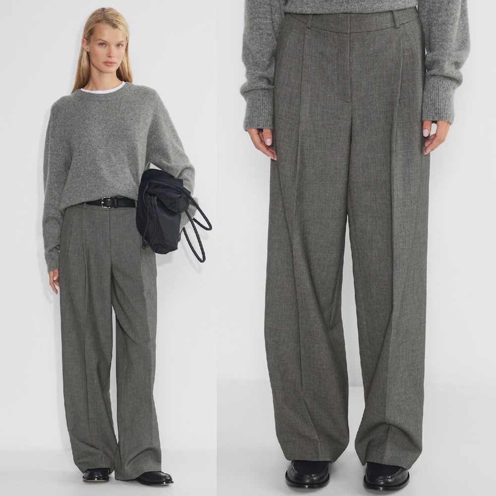 Aritzia- Babaton High-Waisted Wide-Leg Pleated Pants Light Gray Size 4 Trousers